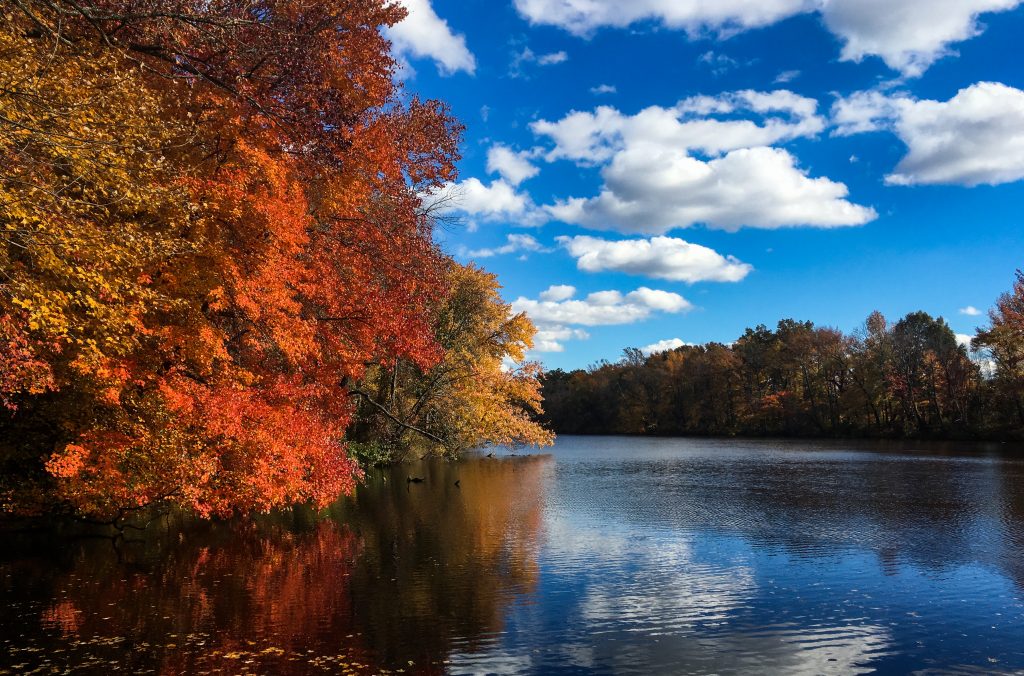 Kirkwood Lake, Lindenwold, NJ.