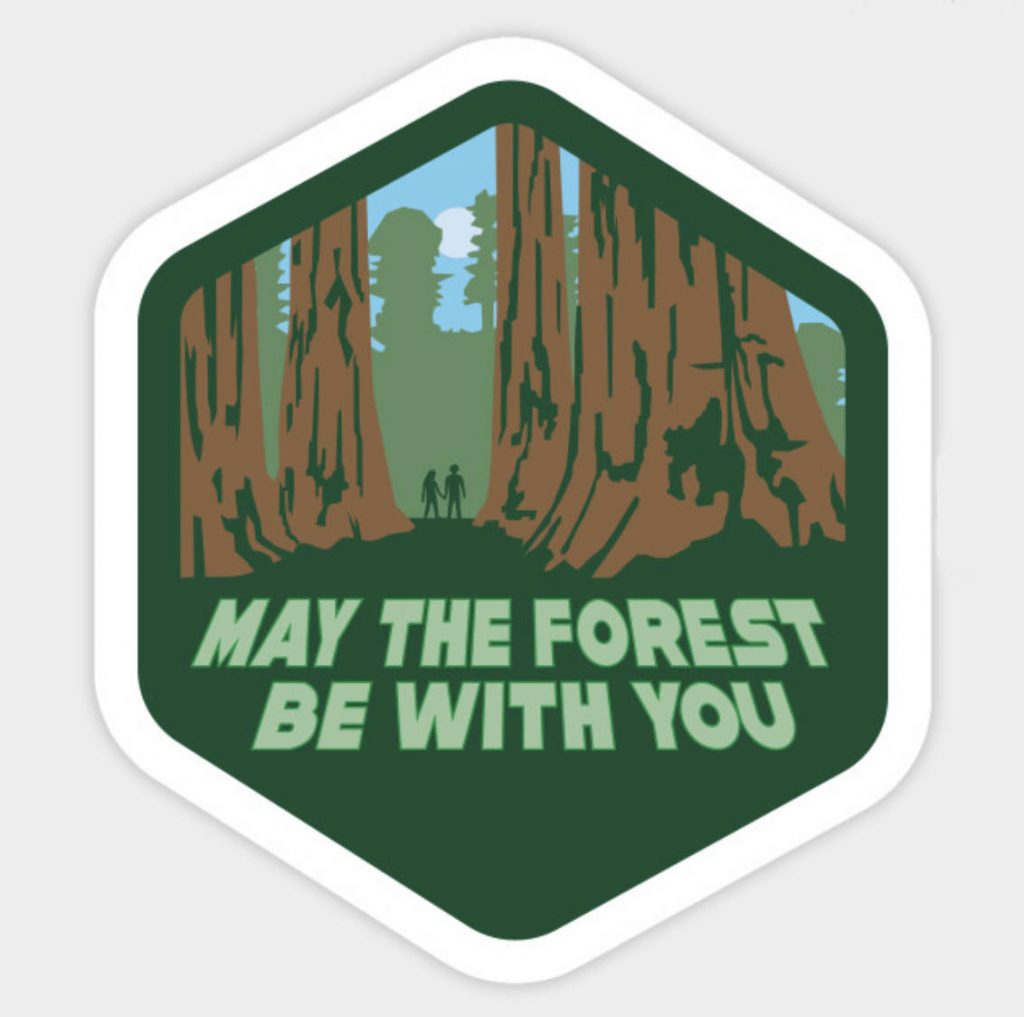 forest badge design graphic