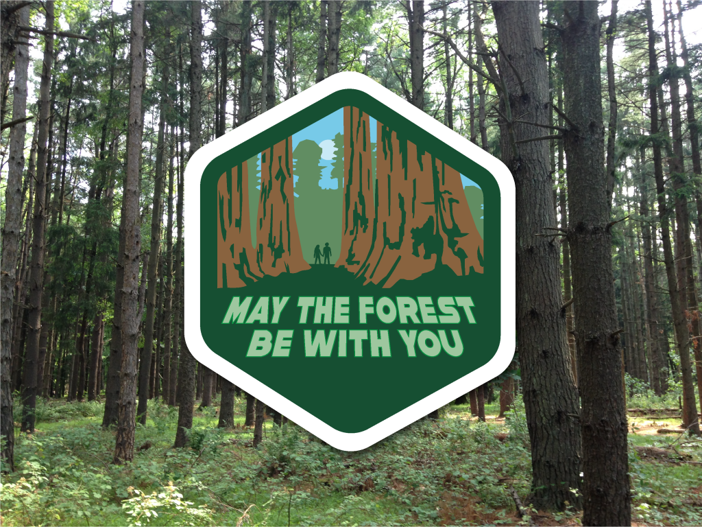 forest badge design with forest backdrop