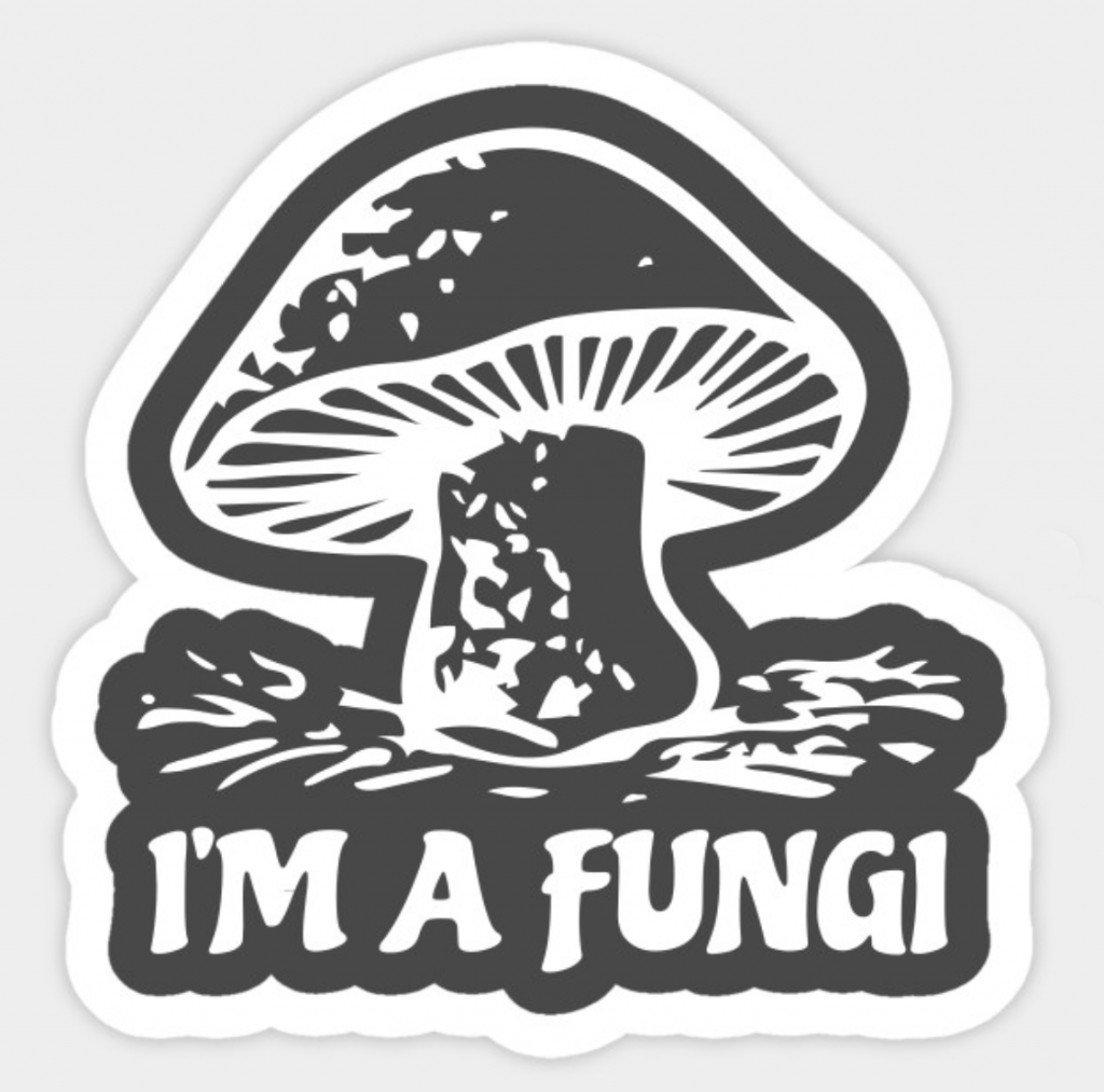 mushroom graphic on sticker mockup